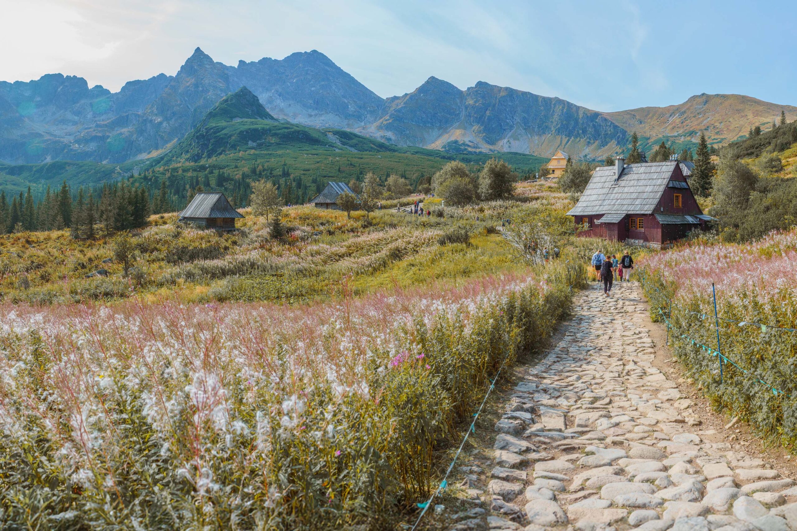 _DSC0461-Pano