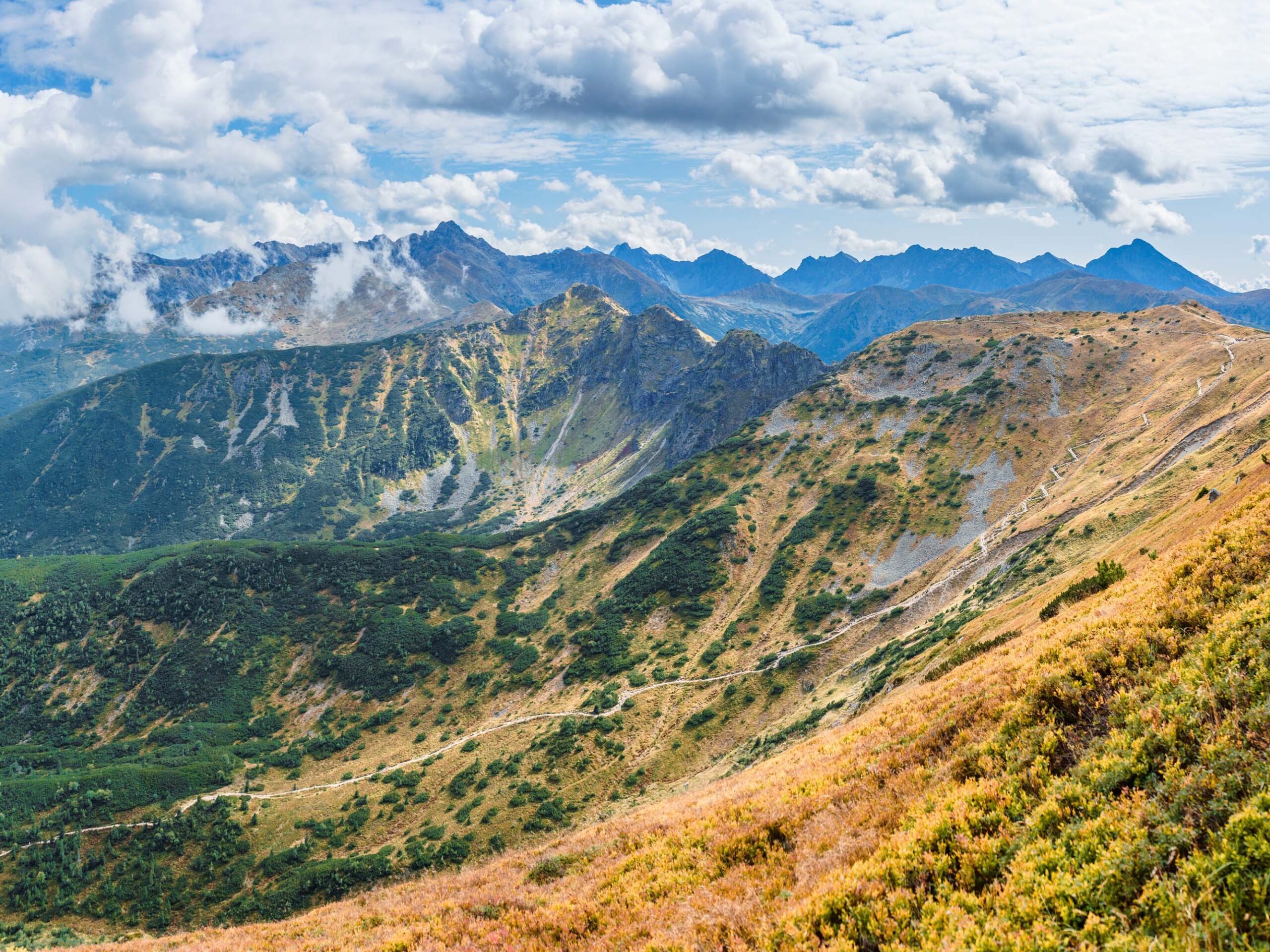 _DSC9343-Pano